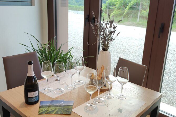 Tour and tasting in the hills of Prosecco Superiore DOCG - Key highlights you’ll care about
