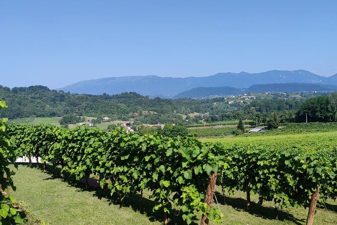 Tour and tasting in the hills of Prosecco Superiore DOCG - Where La Svolta fits in the Prosecco Superiore DOCG area