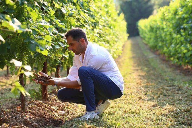 Tour and tasting in the hills of Prosecco Superiore DOCG - Who this Prosecco tasting is best for