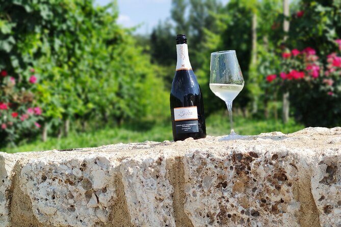 Tour and tasting in the hills of Prosecco Superiore DOCG - Vineyard walk: why starting outside makes a difference