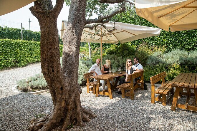 Tour and Tasting of Organic Wines in Lazise - Key Things That Make This Lazise Wine Tasting Worth Your Time