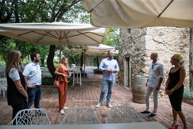 Tour and Tasting of Organic Wines in Lazise - How the 15-Person Group Shape Changes the Feel