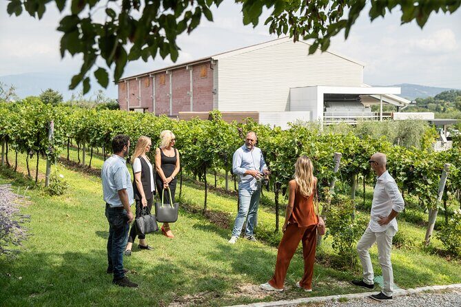 Tour and Tasting of Organic Wines in Lazise - Price and Value: Is $58.87 a Smart Buy?