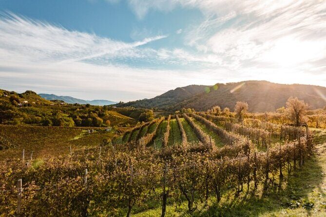 Tour in the Prosecco Hills Tour from Padua - Stop 1: Vecchio Mulino della Croda and the charm of old water power