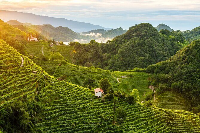 Tour in the Prosecco Hills Tour from Padua - The guides and group dynamic: what you can expect
