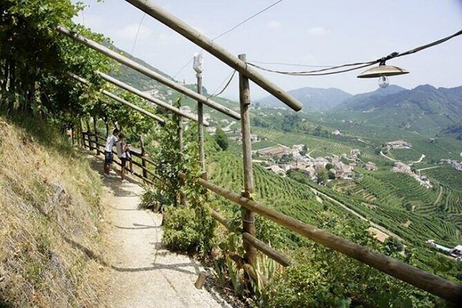 Tour in the Prosecco Hills Tour from Padua - Who this Prosecco Hills tour suits best