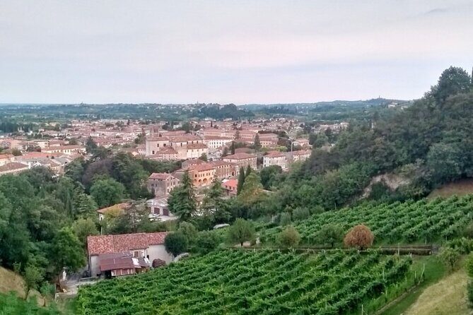 Tour in the Prosecco Hills Tour from Padua - Prosecco Hills UNESCO time: the winery tour and DOCG tasting that makes the day