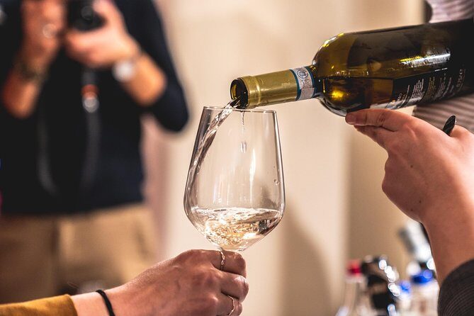 Tour in the Winery and tasting - Why Lugana DOC near Sirmione is a smart use of time