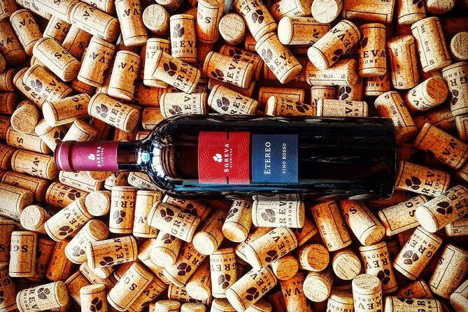 Tour in the Winery and tasting - How long it takes (and why the pace feels relaxed)