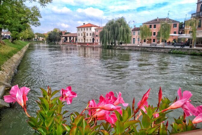 Tour to the Venetian Villas and the Brenta Riviera from Padua - Minivan Comfort and a Riviera Route: The Value of Not Driving Yourself