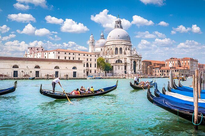 Transfer from Padova to Venice City Airport/Port or v.v. - The meet-and-greet system: timing windows that keep you moving