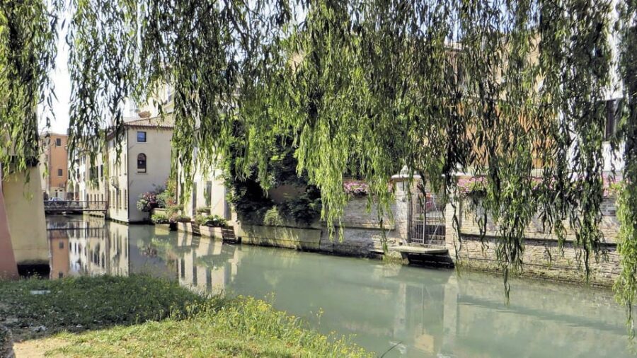 Treviso Small-Group Walking Tour: Top Sights & Hidden Gems - Starting at Ponte dell’Università: where the tour clicks into place