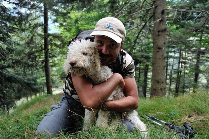 Truffle hunting and lunch experience in a restaurant - The Woods Hunt: A 30–45 Minute Hike That Isn’t Too Hard
