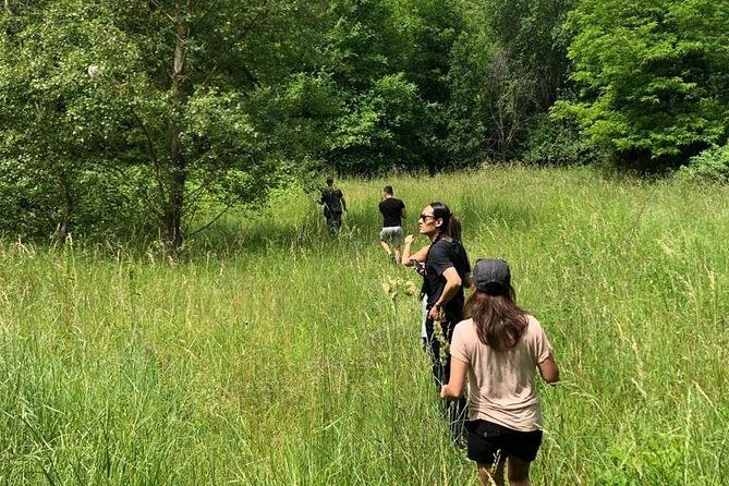Truffle Hunting with Wine Tasting - What you really taste: Valpolicella, Ripasso, and Amarone