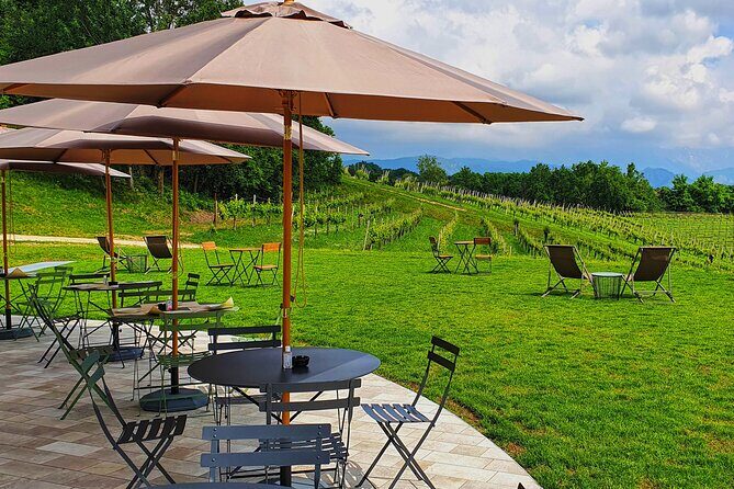 Unconventional Prosecco Tasting with Stunning View on Vineyards - The vineyard walk: the start that sets the tone
