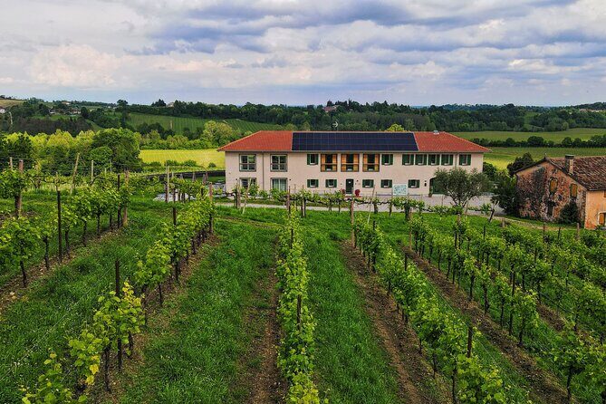 Unconventional Prosecco Tasting with Stunning View on Vineyards - Meeting point reality check: Via Manzana 46 can confuse maps