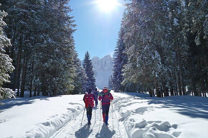 UNESCO Dolomites great expedition from Venice by Yellowboot - Stop 1: Stazione di Venezia Santa Lucia and the morning send-off
