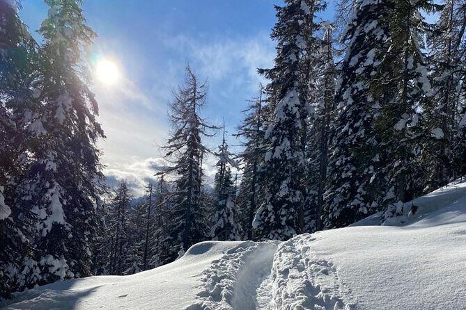 UNESCO Dolomites great expedition from Venice by Yellowboot - Stop 2: Dolomiti del Veneto town time (with real free wandering)
