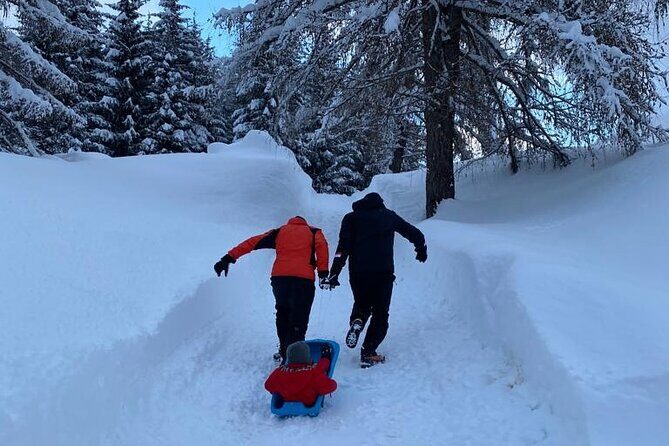 UNESCO Dolomites great expedition from Venice by Yellowboot - Stop 3: Belluno Dolomites lunch planning at a mountain chalet