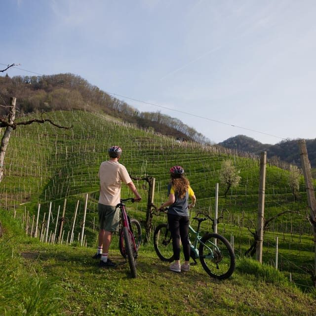 Valdobbiadene: e-bike Tour on the Prosecco Hills - Price and value: is $130.96 for 4 hours actually fair?