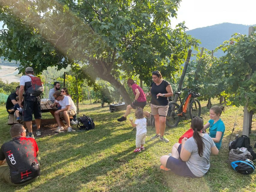 Valdobbiadene: Guided E-Bike Tour in Prosecco Hills - Price and value: what $135.94 gets you for 4 hours