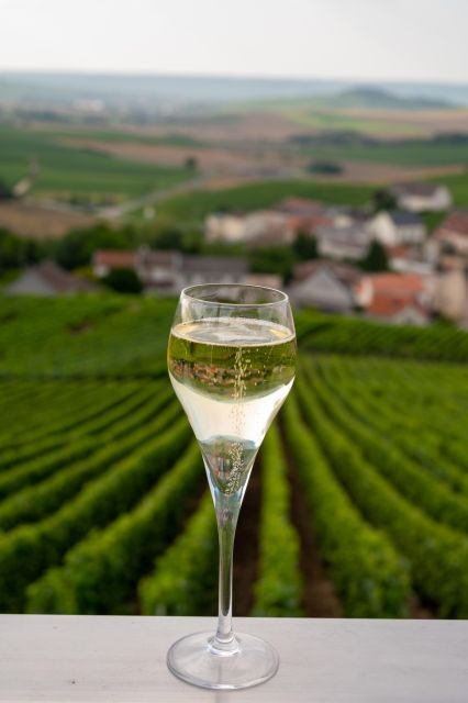Valdobbiadene: Prosecco private tour & taste with Sommelier - Prosecco hills, but with a real tasting plan