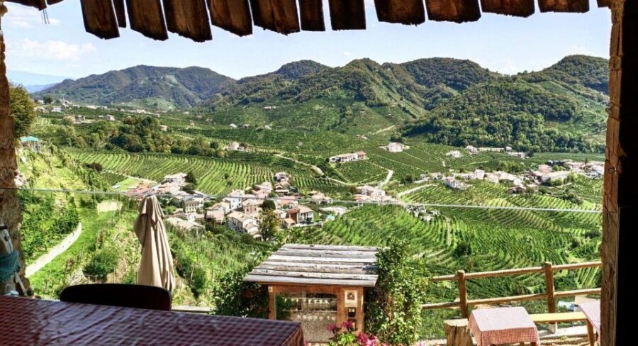 Valdobbiadene: Prosecco private tour & taste with Sommelier - Stop-by-stop: from Valdobbiadene viewpoints to winery tastings