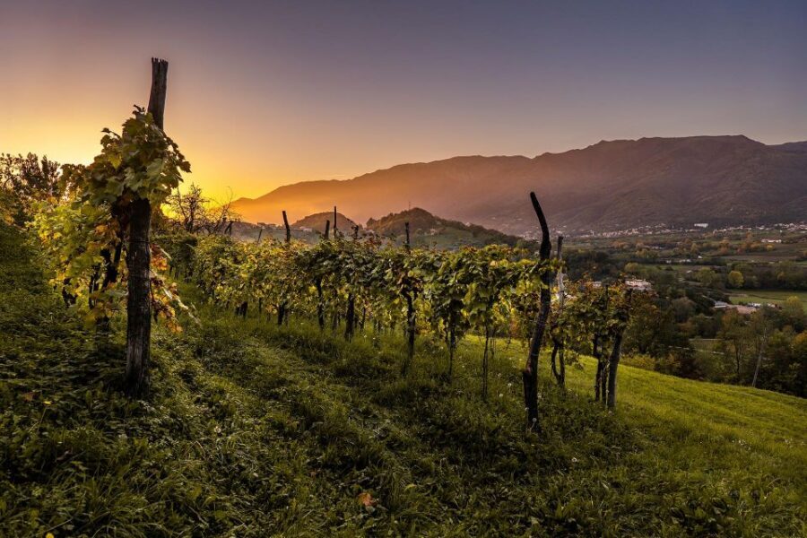 Valdobbiadene: Prosecco private tour & taste with Sommelier - Should you book Valdobbiadene Prosecco private tour?