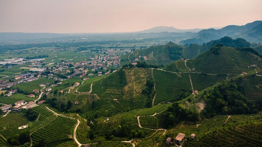 Valdobbiadene: Prosecco private tour & taste with Sommelier - Meet the sommelier: tasting styles you can actually tell apart