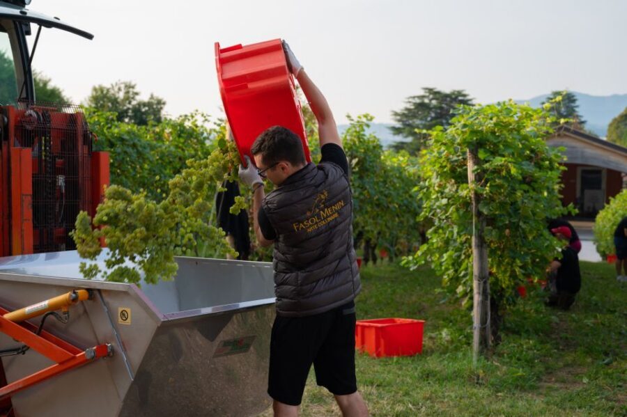 Valdobbiadene: Prosecco Tasting Experience - Why Valdobbiadene DOCG focus changes what’s in your glass