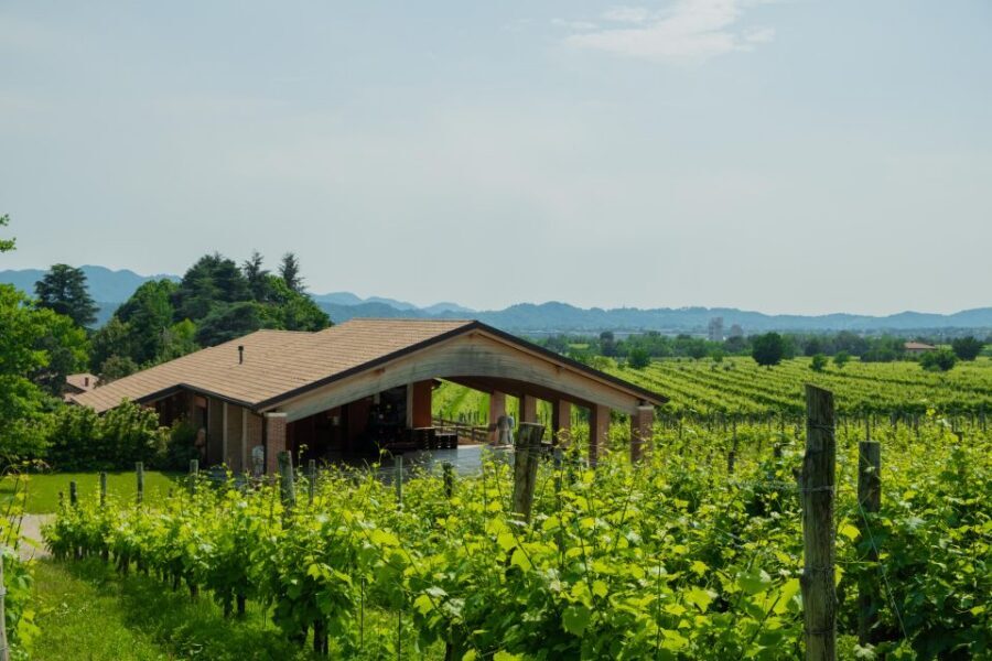 Valdobbiadene: Prosecco Tasting Experience - Who should book this Valdobbiadene Prosecco tasting