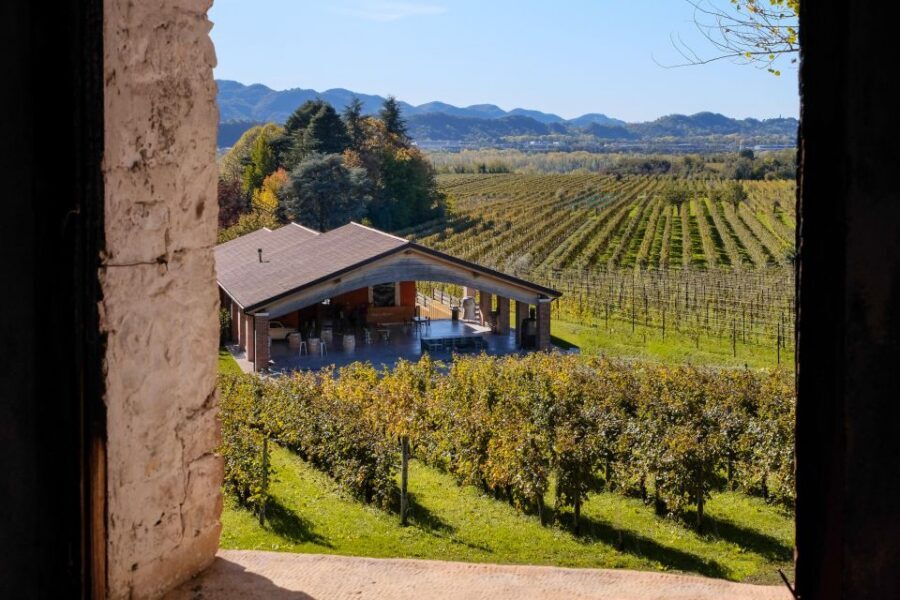 Valdobbiadene: Prosecco tasting where Art meets Wine - The short production tour: 20 minutes that actually help
