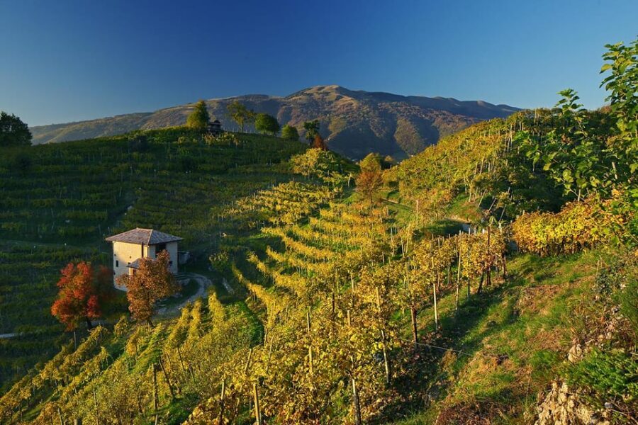 Valdobbiadene: Prosecco tasting with winery & vineyard tour - The tasting plan: how 7 pours build your Prosecco map