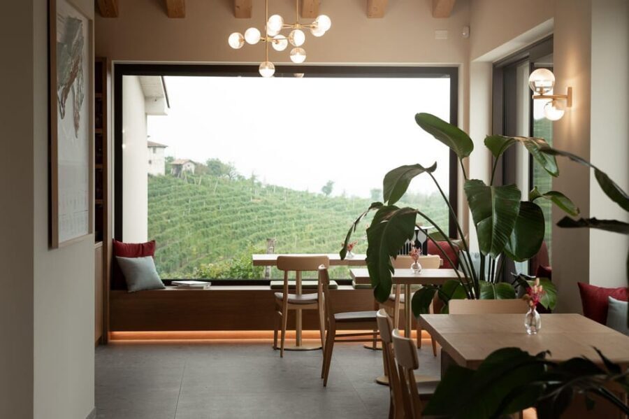 Valdobbiadene: Prosecco tasting with winery & vineyard tour - Food pairing basics: pan da vin and optional local bites