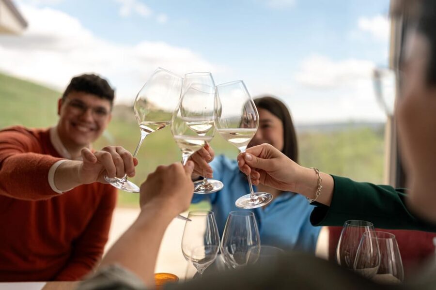 Valdobbiadene: Prosecco tasting with winery & vineyard tour - Getting to Adami: the 1.5 km car detail that matters