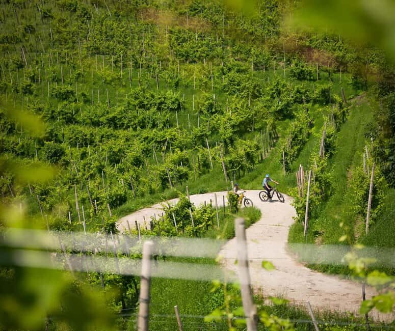 Valdobbiadene: self-guided e-bike tour in the Prosecco Hills - How the GPX Route and Sat-Nav Keep You Moving
