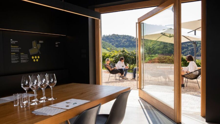 Valdobbiadene:Prosecco tasting,appetizers,winery & vineyard - Key points before you go