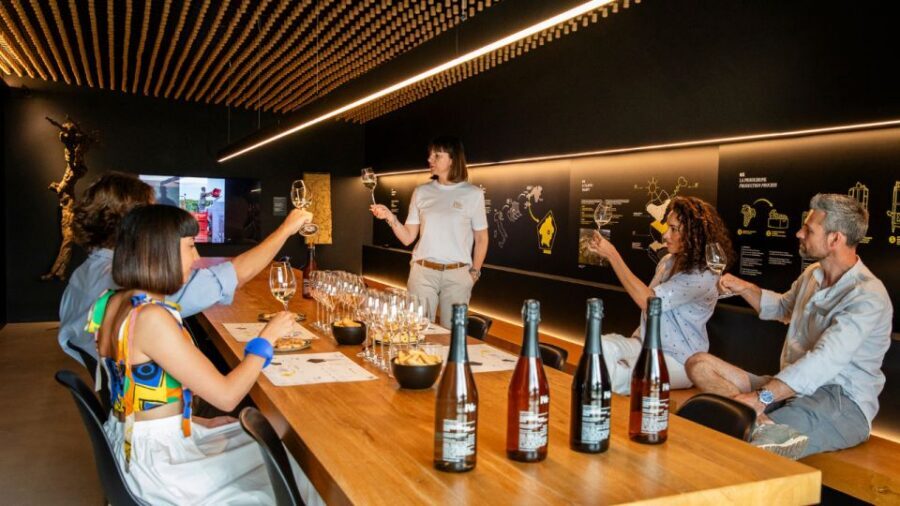 Valdobbiadene:Prosecco tasting,appetizers,winery & vineyard - Price and value: is $47 worth it?
