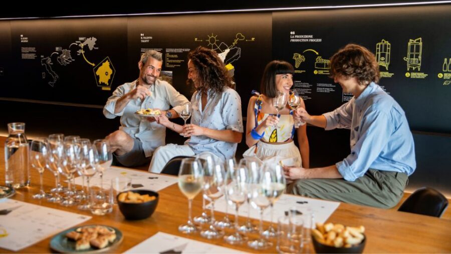 Valdobbiadene:Prosecco tasting,appetizers,winery & vineyard - Getting there smoothly: Strada Cartizze 5 and the two entrances