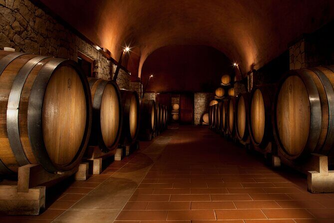 Valpolicella Lunch or Dinner Wine & Food tasting with Amarone - Why this Amarone-focused lunch is more than just a wine tasting