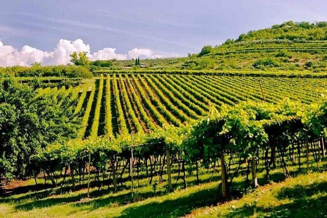 Valpolicella - The wine paradise - Key highlights you’ll actually care about
