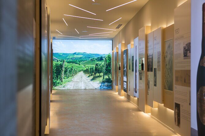 Valpolicella Wine Experience at Montresor winery - Montresor’s Wine Museum: a Verona stop that works for beginners and regulars