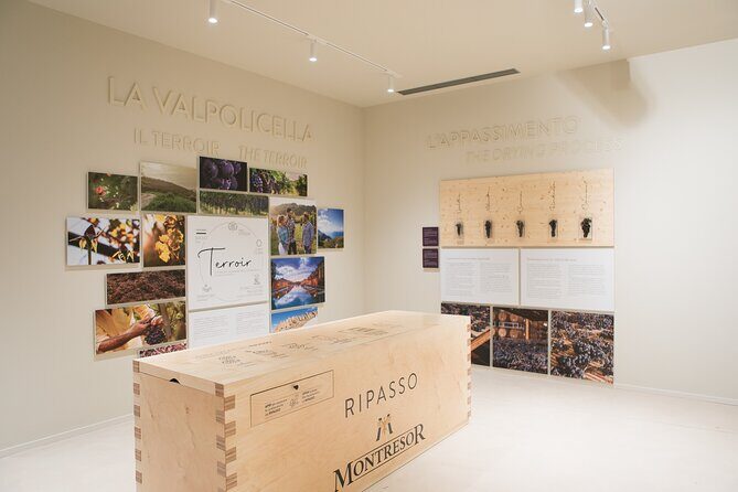 Valpolicella Wine Experience at Montresor winery - Should you book the Montresor Valpolicella or Amarone tasting?