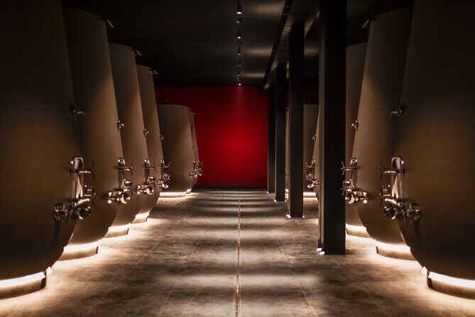 Valpolicella Wine Tasting Experience & Light Lunch - Key things I’d center in your decision