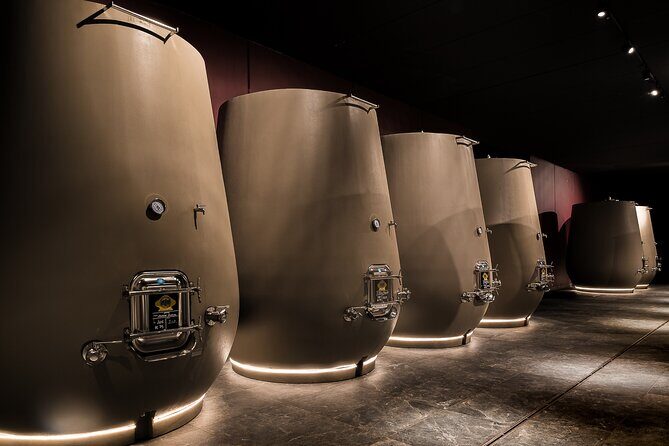 Valpolicella Wine Tasting Experience & Light Lunch - What to expect from the guides and how the experience feels