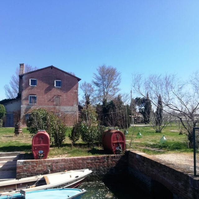 Venice: Bike Tour Honey & artichockes on Sant’Erasmo Island - Why Sant’Erasmo feels like Venice’s off-switch