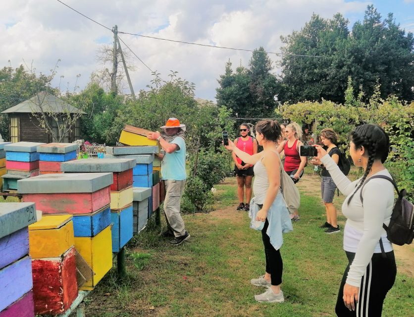 Venice: Bike Tour Honey & artichockes on Sant’Erasmo Island - The 19th-century fort start and the moat effect