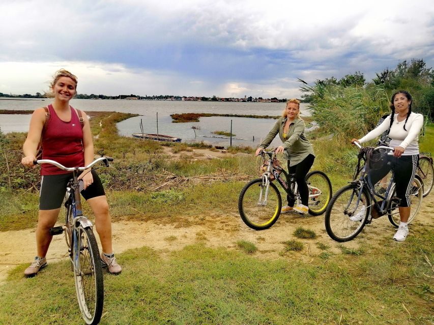 Venice: Bike Tour Honey & artichockes on Sant’Erasmo Island - Artichoke fields, saltmarsh edges, and photo stops that actually work