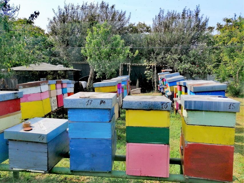 Venice: Bike Tour Honey & artichockes on Sant’Erasmo Island - Honey farm time: saltmarsh honey and the Elio Mavaracchio tasting
