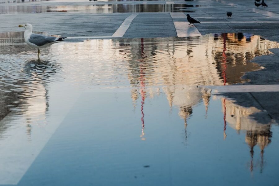 Venice: City Tour and Murano Glass Experience - The Complimentary Boat Back: Quiet Channels and a Shortcut to the View